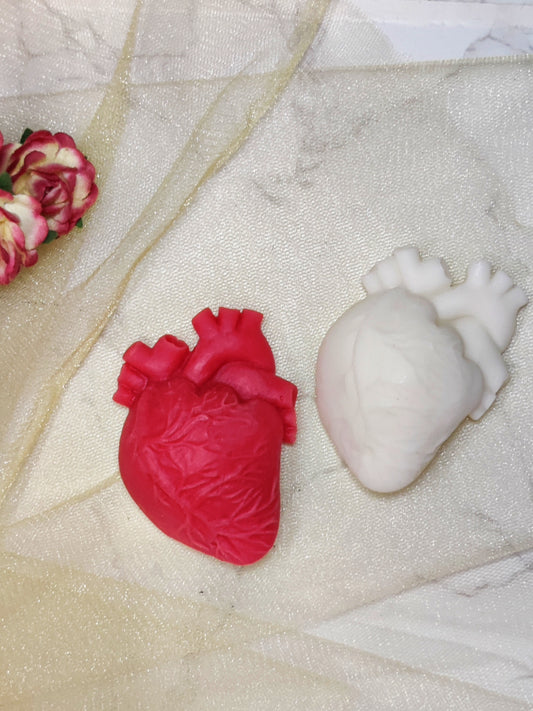 Anatomically correct heart - Handmade silicone mold