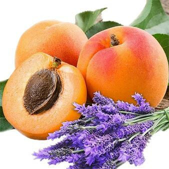 Lavender and Spring Apricot Fragrance Oil
