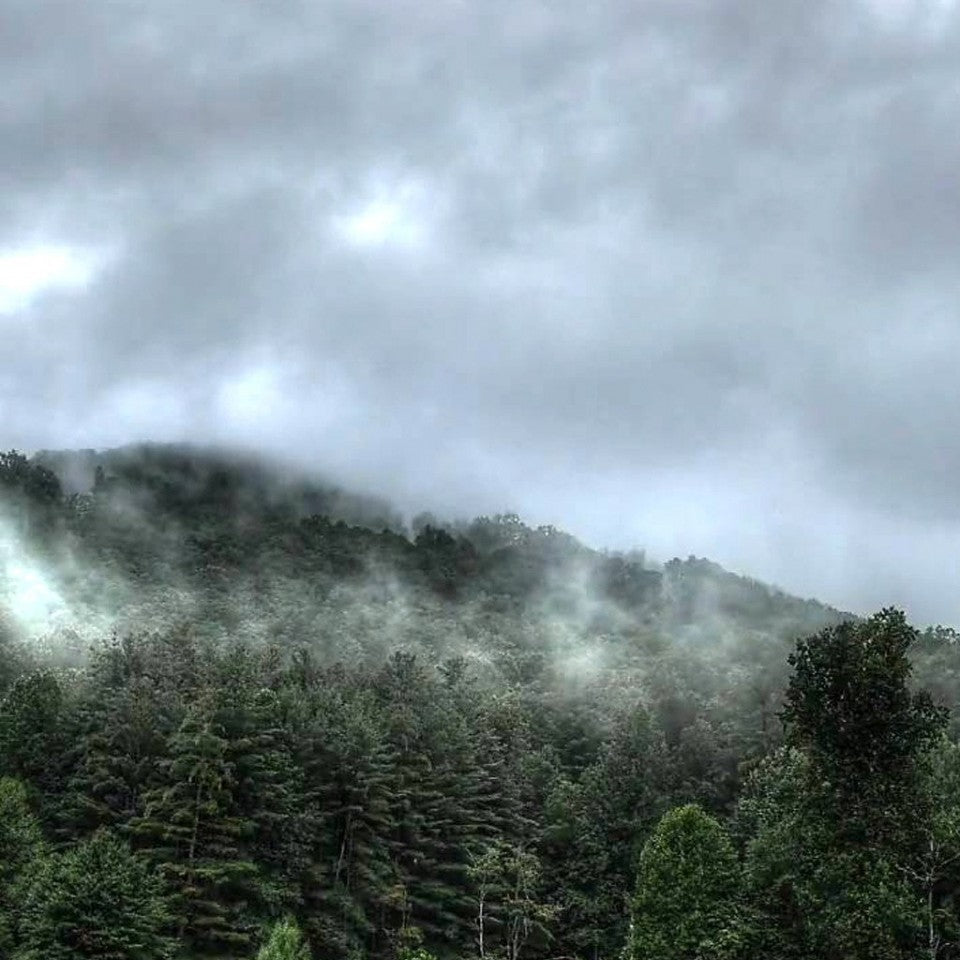 Mountain Rain Fragrance Oil