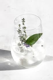 The Tonic Fragrance Oil